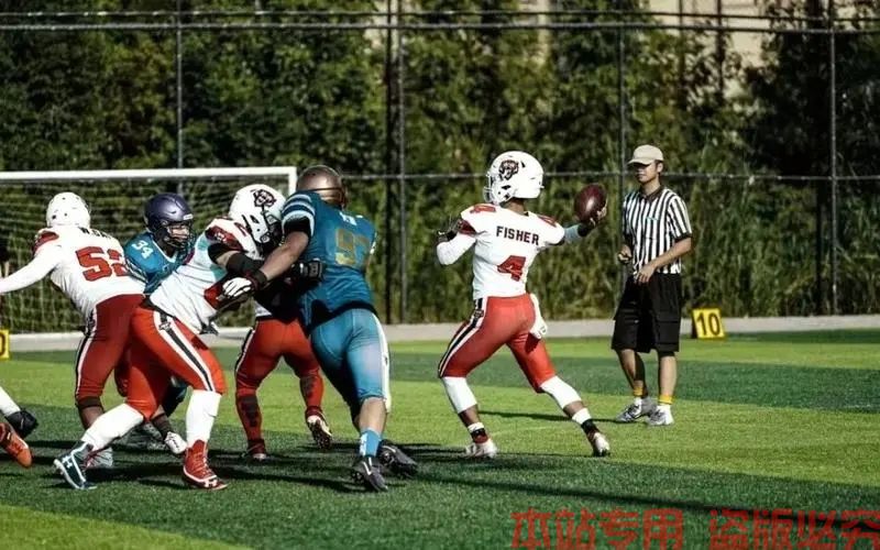 多米体育官方网站