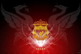 多米体育官方网址-利物浦纪念足球